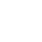 intro_icon