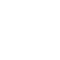 intro_icon