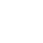 intro_icon