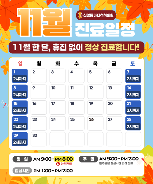 11월 진료일정